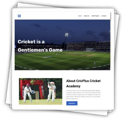 Template Cricket training Academy